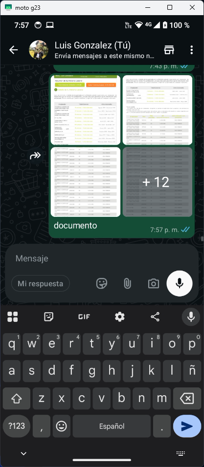 Captura de pantalla PDF a PNG 5